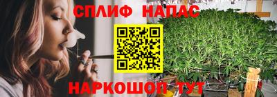 стаф Тверь