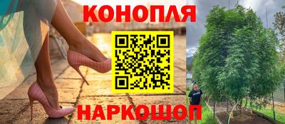 стаф Тверь