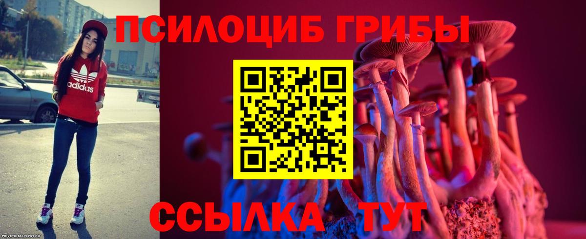 Псилоцибиновые грибы мицелий  Вход с VPN  Оренбург  Галлюциногенные грибы прущие грибы 